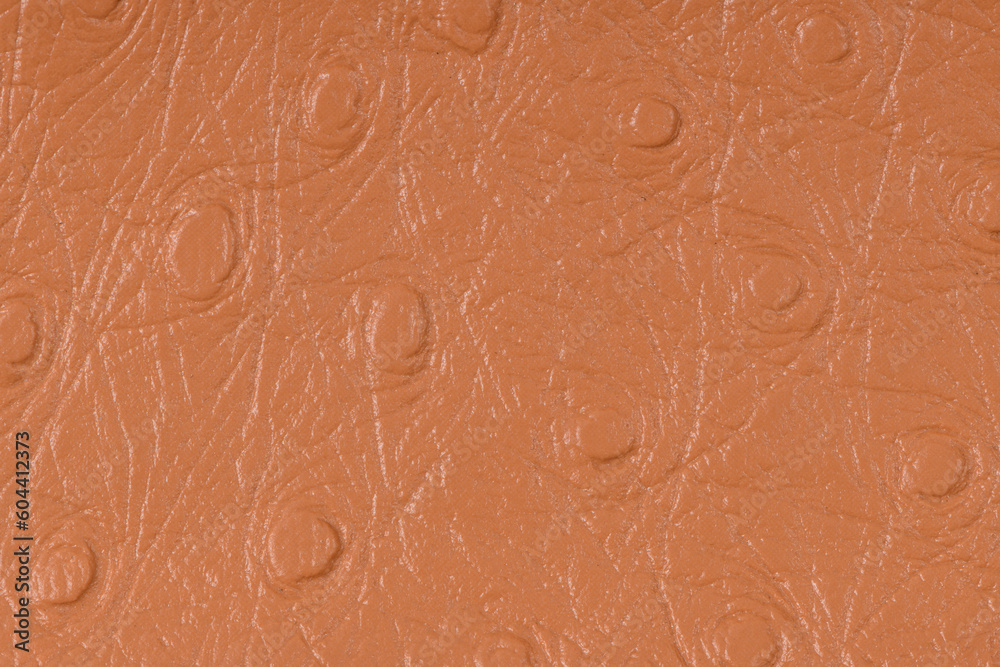Fototapeta premium Brown leather