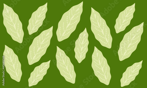 Leaves  isolated on green background, beautiful illustration design