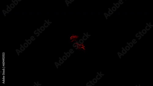 Close-up of the blazing fire scene in real and realistic colors Isolated by Alpha channel (transparent background)