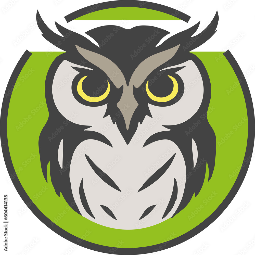 Fototapeta premium owl
