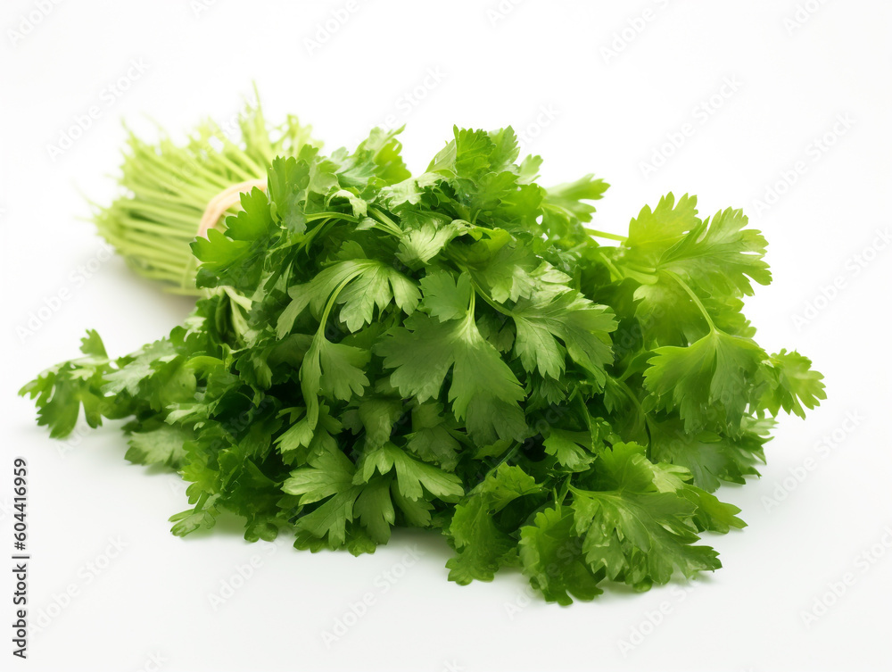 A bunch of fresh parsley on a white background A bunch of fresh parsley on a white background