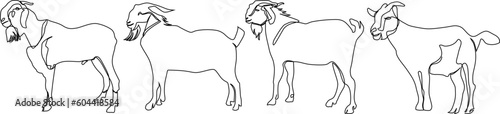 continuous line drawing of goat
Bundle set