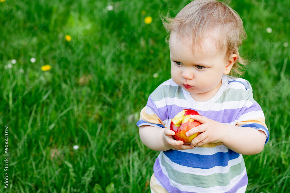Cute little toddler boy eating ripe red apple outdoor Cute little toddler boy eating ripe red apple outdoor