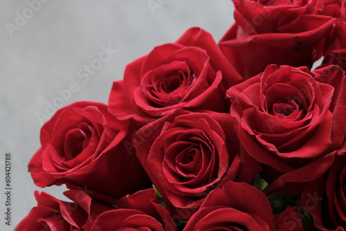 Red beautiful roses  bouquet. Congratulation  love concept. Floral background.