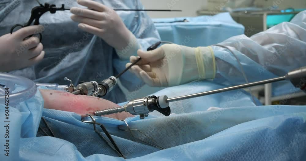 Side view. Endoscopic sterilization of a dog. The work of a team of