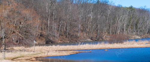 lake in winter