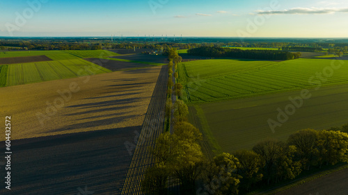Wegweiser der Natur: Ein inspirierendes Drohnenbild des Feldwegs zwischen den endlosen Feldern und der sanften Wiese