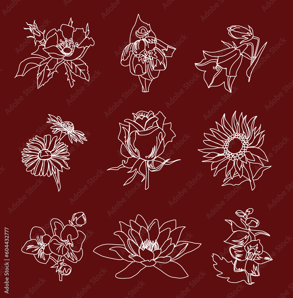 Set of 9 white flowers on a dark red background. Chalk drawing on blackboard. Eco design for natural decor Set of 9 white flowers on a dark red background. Chalk drawing on blackboard. Eco design for natural decor