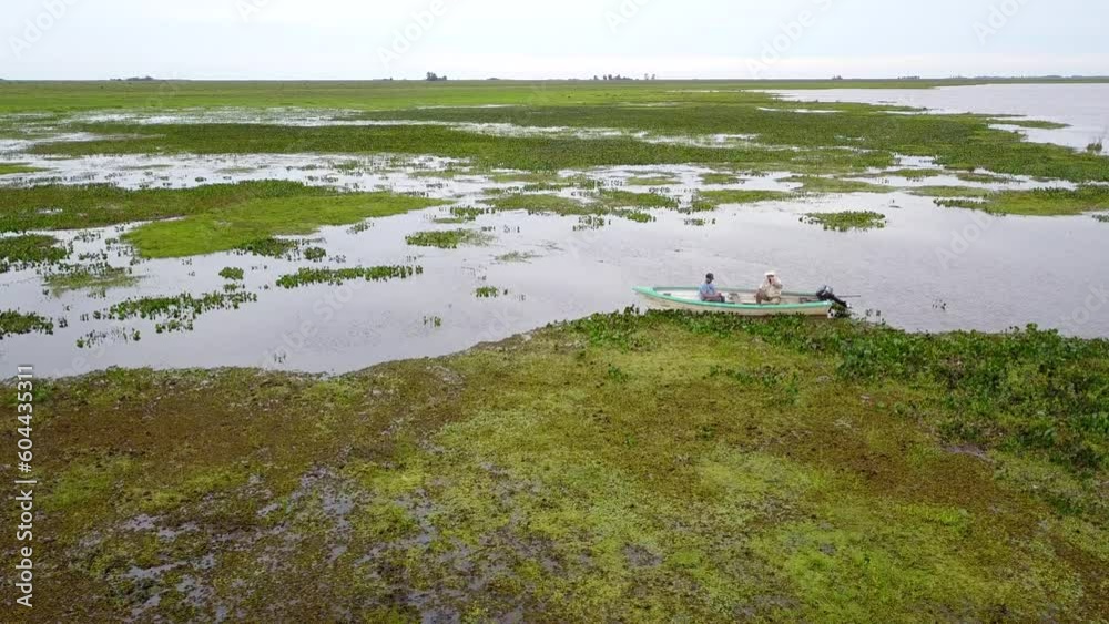 Wetlands of northeast Argentina shooted with drone
