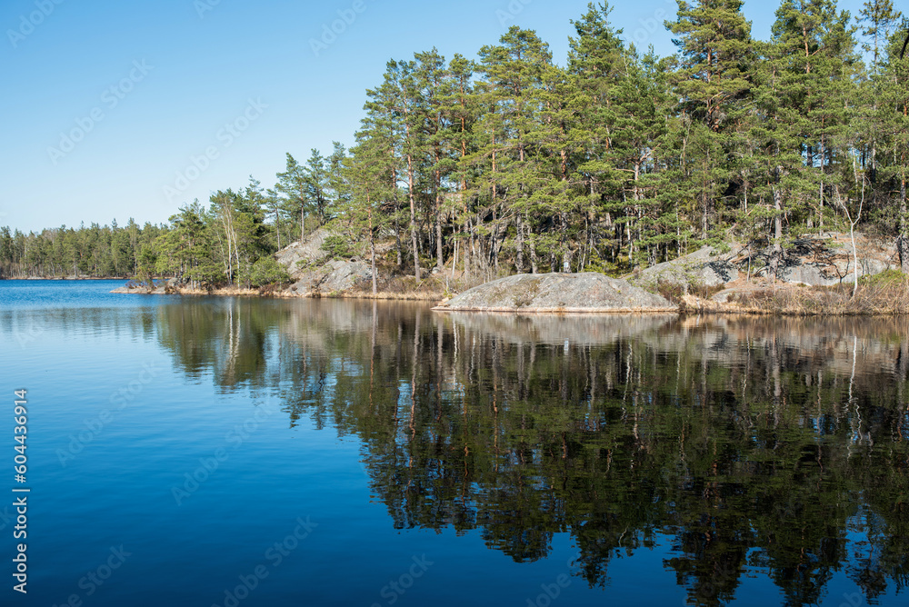 Swedish sunny scandinavian typical nature concept: Tyresta national park landscapes