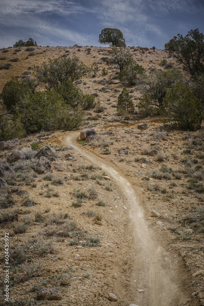 Narrow trail through desert terrain with pinyon pine and sage brush in Montrose Colorado