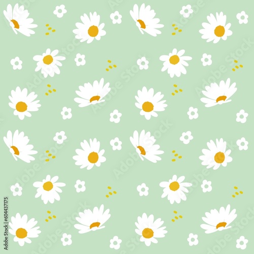 seamless pattern with daisy on green background vector