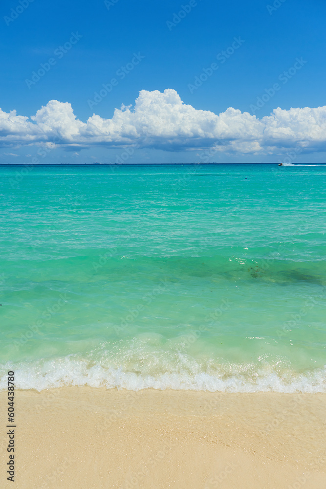 Obraz premium Waves with foam on the Caribbean coast in Mexico.