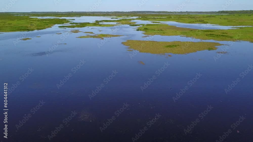 Wetlands of northeast Argentina shooted with drone Wetlands of northeast Argentina shooted with drone