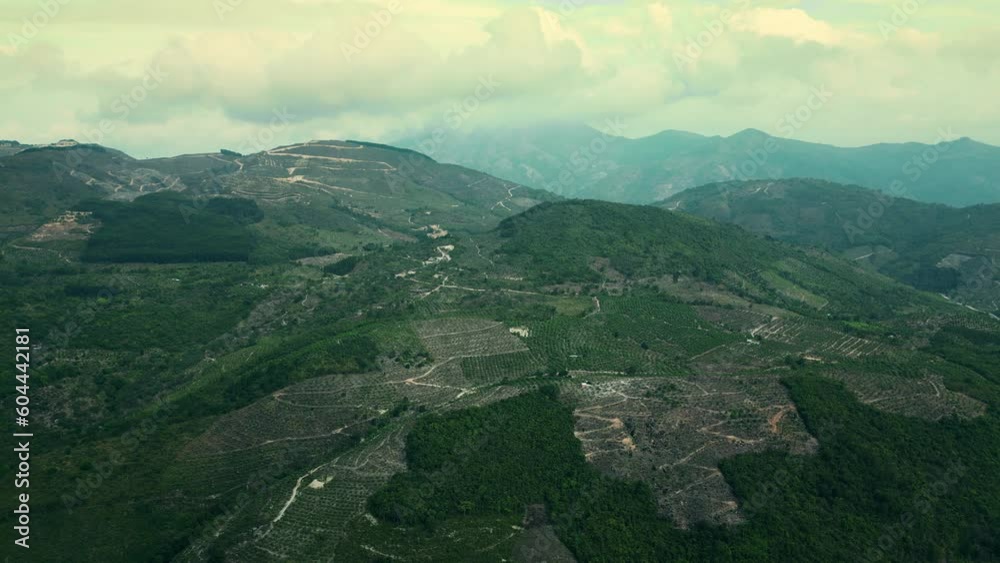 Top view coffee region of Vietnam. Coffee plantation. Concept coffee. 4K Top view coffee region of Vietnam. Coffee plantation. Concept coffee. 4K