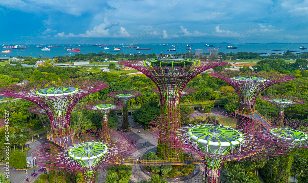Aerial view of landscape of Gardens by the Bay in Singapore. Botanical garden with artificial trees and harbor in horizon