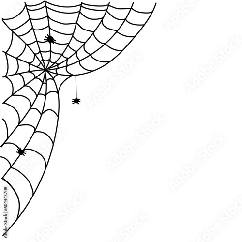 cobwebs with spiders