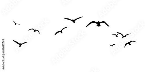 A Hand Drawn Flock of Flying Birds. Monochrome Bird Silhouettes. Design for an invitation, greeting, comicbook, illustration, card, postcard. Illustration isolated on a white background. Vector © Олександр Бейдик