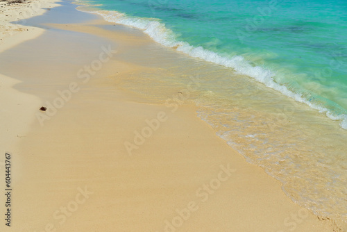 Fototapeta Naklejka Na Ścianę i Meble -  Waves with foam on the Caribbean coast in Mexico.