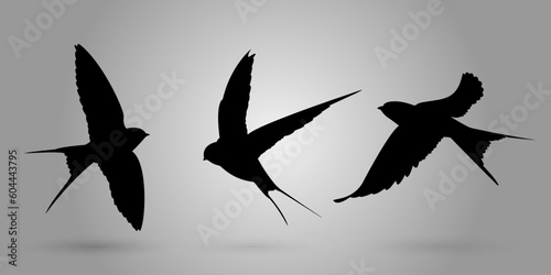 Set of Swallow Silhouettes - Vector Illustration
