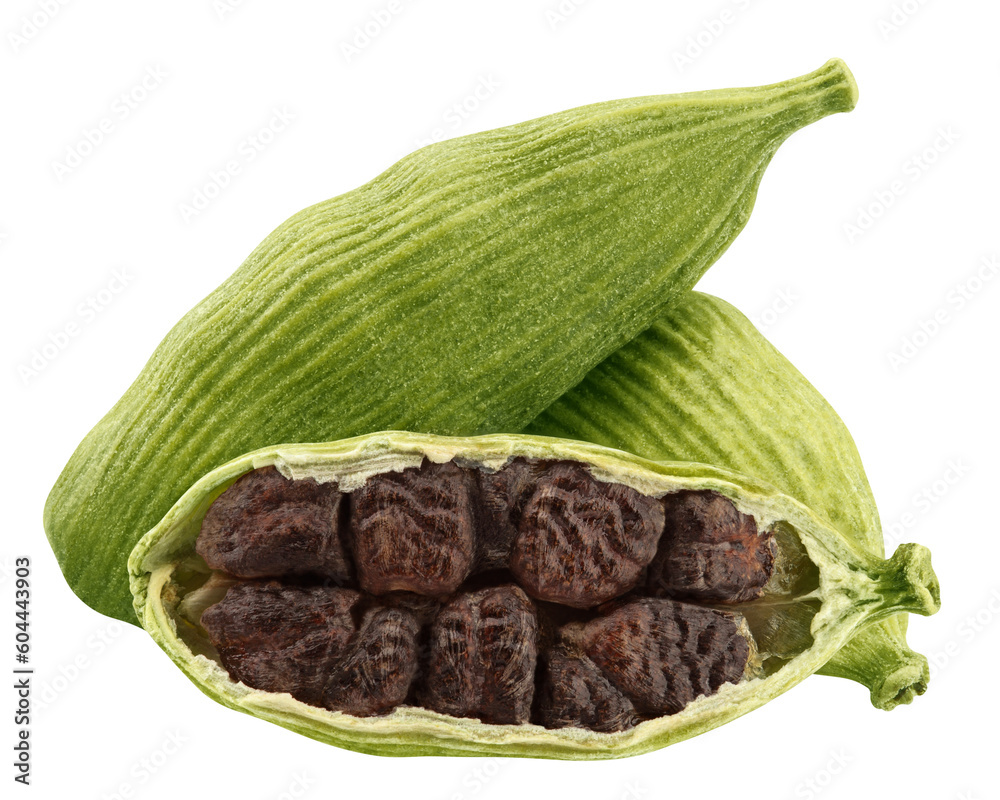 Cardamom isolated on white background, full depth of field Cardamom isolated on white background, full depth of field