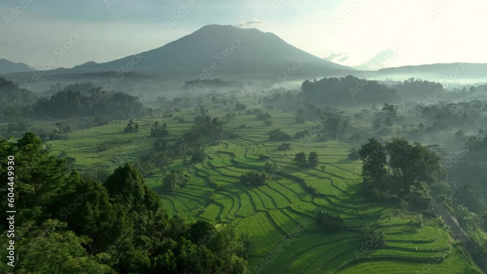 2023 - Excellent aerial view swooping over rice terraces towards a misty mountain in Sideman, Bali, Indonesia.