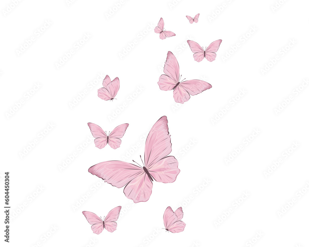 pink butterfly on white background