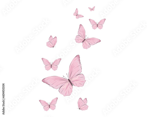 Photo pink butterfly on white background