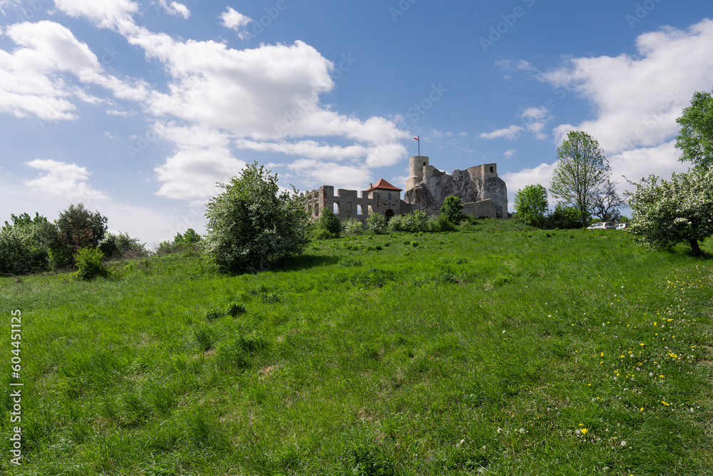 Castle Rabsztyn, Poland