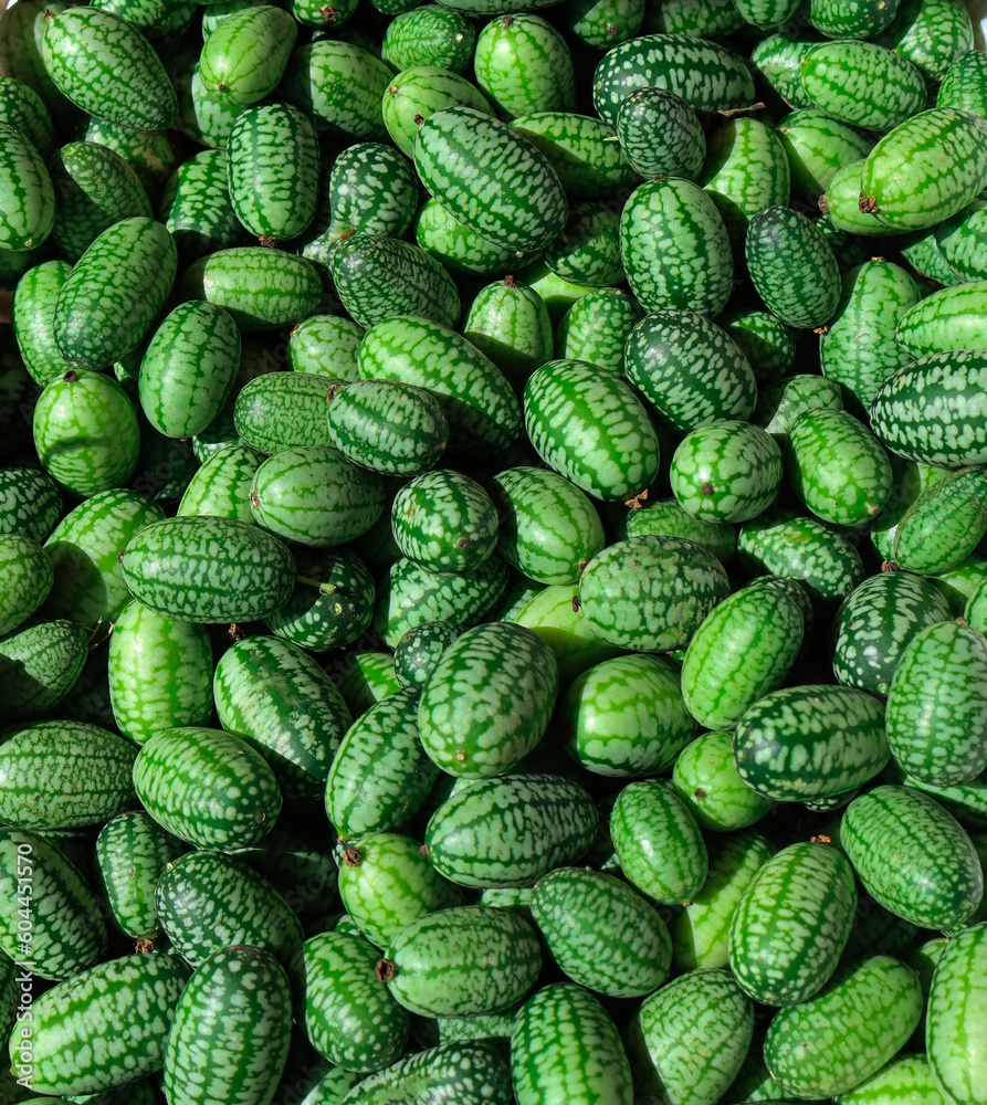 Organic cucamelon exposed in a fair in Portugal miniature watermelon Organic cucamelon exposed in a fair in Portugal miniature watermelon