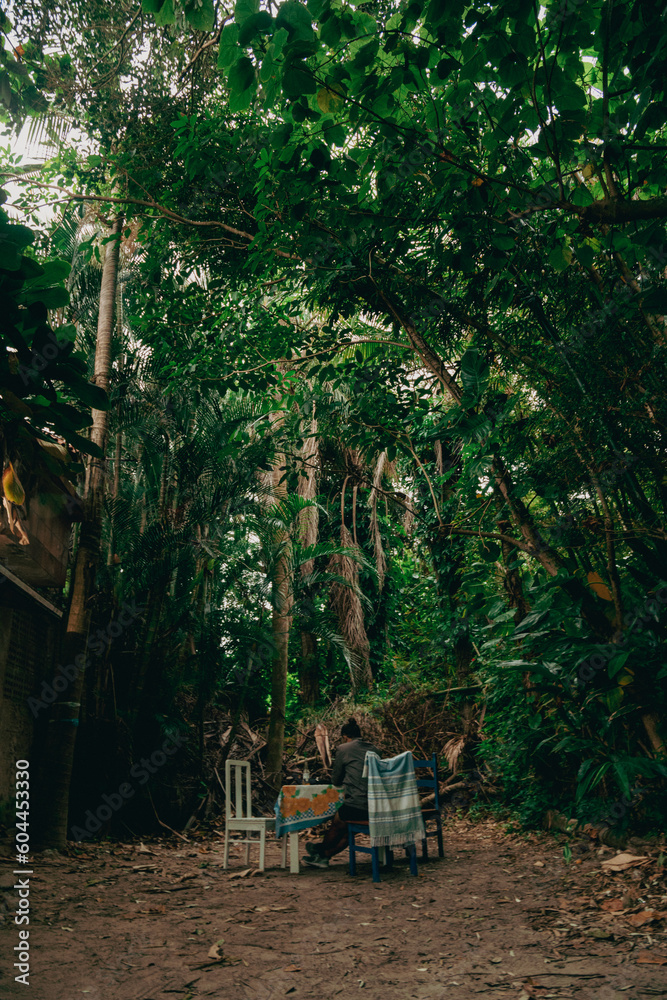 A person sitting below dense vegetation in Campeche, Florianópolis, Santa Catarina, Brasil