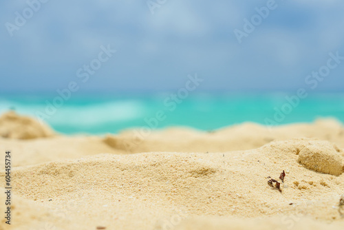 Sandy beach on the Caribbean coast in Mexico.