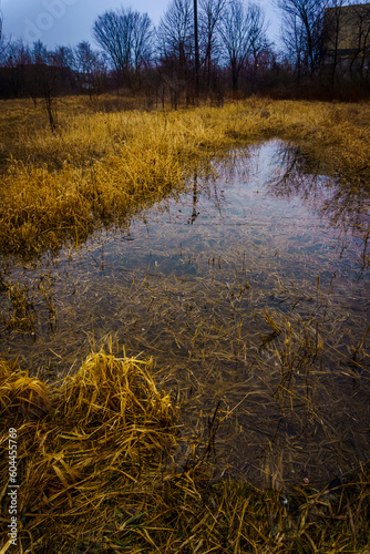 Vertical view of a marshland with brown withered grass and ditches of stagnant water