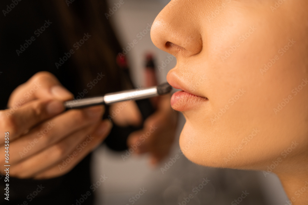 Cropped view of the makeup artist applies lipstick to young beauty lady face