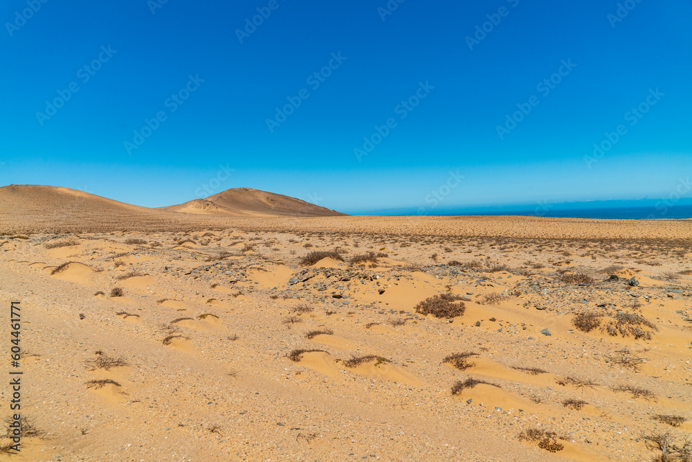 Wide arid African landscape with blue sky and sand..
