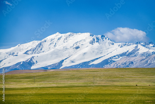 Snow mountains and meadow in Ngari Prefecture, Tibet Autonomous Region, China. photo
