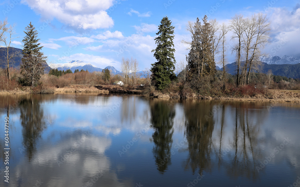 Reflections of leafless trees in peaceful river Reflections of leafless trees in peaceful river