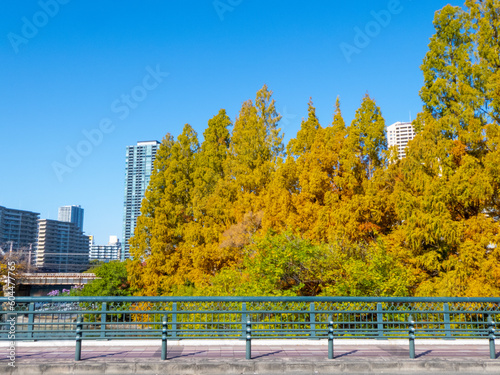 Wallpaper Mural 大阪の街を彩る秋の紅葉
 Torontodigital.ca