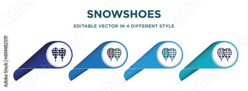 snowshoes icon in 4 different styles such as filled, color, glyph, colorful, lineal color. set of vector for web, mobile, ui