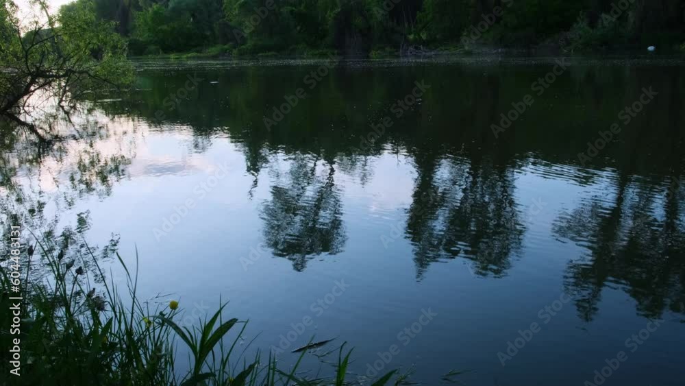Calm forest river with green trees along shoreline. Reflection in rippled pond water surface. Forest lake morning. Calm forest river with green trees along shoreline. Reflection in rippled pond water surface. Forest lake morning.