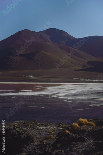Desert with lake, hills and mountains dry (ID: 604484990)