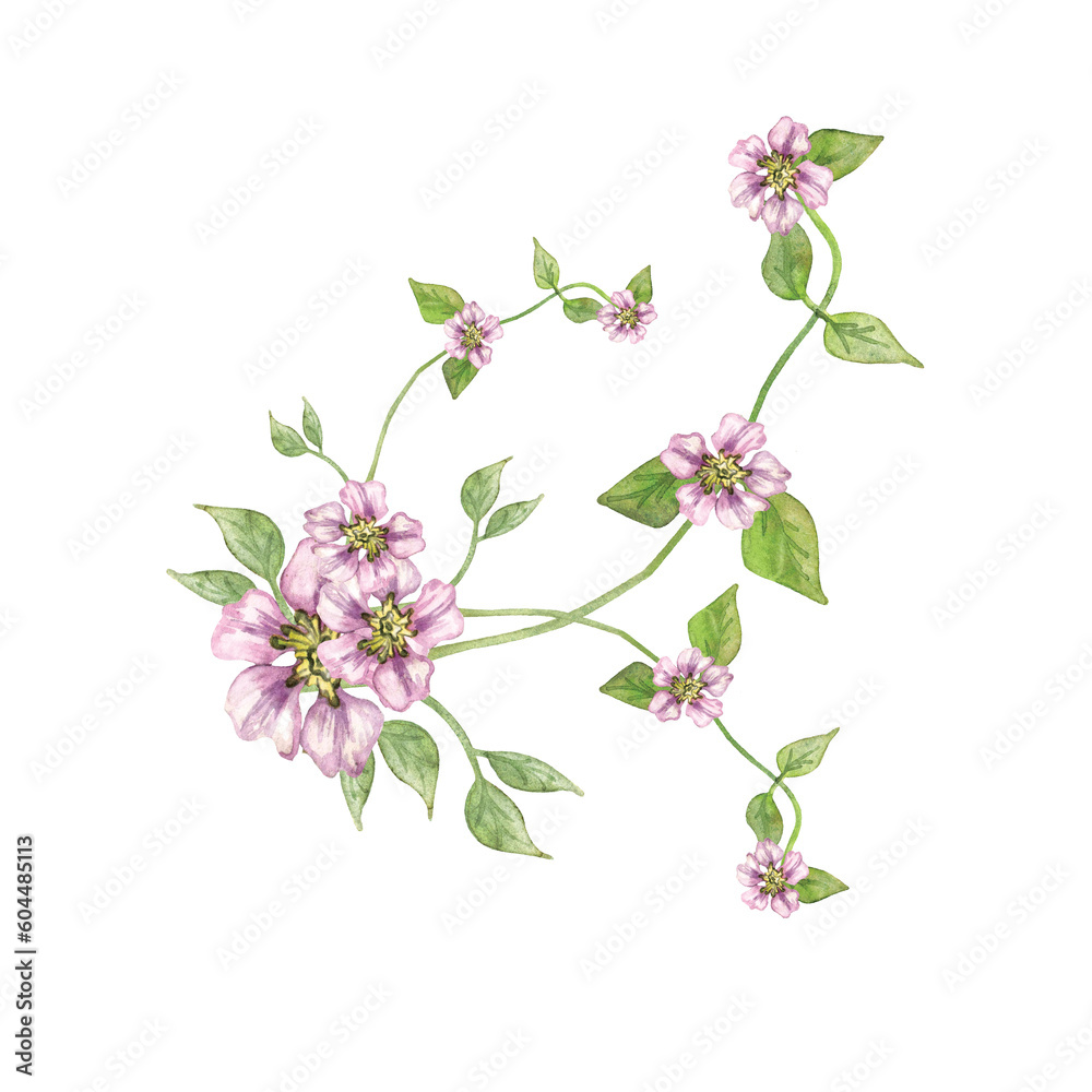 Fototapeta premium Watercolor drawing, lush bouquet of tulips. Illustration for the design of gifts, cards and packaging.