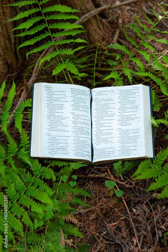 Holy Bible opened in Psalm 119 outdoors in green foliage