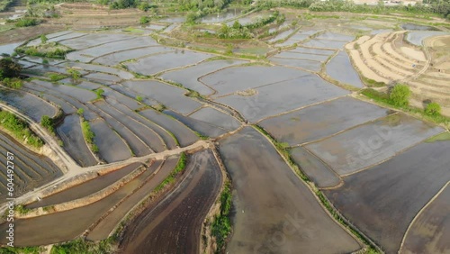 Wallpaper Mural 다랑이 논,계단식 논의 아름다운 곡선들 Torontodigital.ca