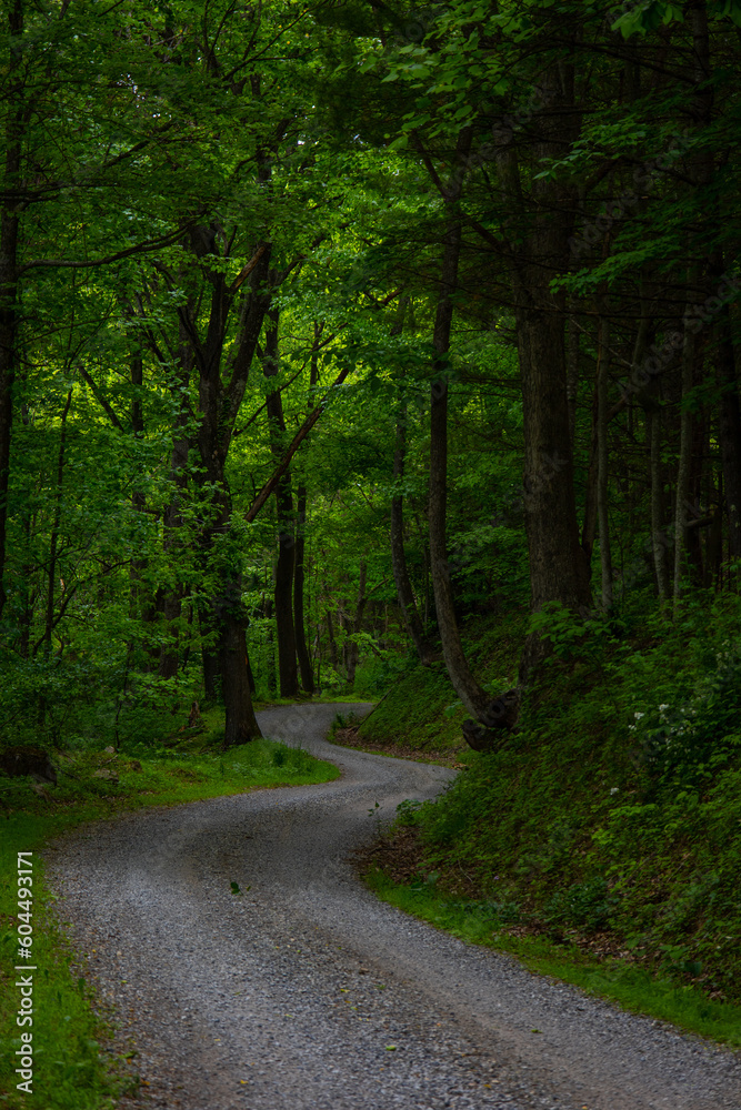 Fototapeta premium Curvy road in the Applachian Mountains