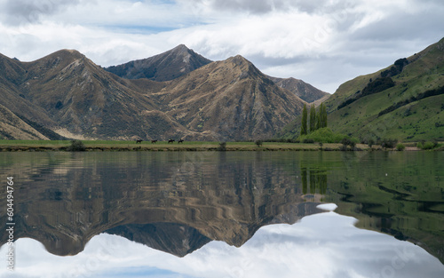 New Zealand landscape near Queenstown © Daniel Thomas