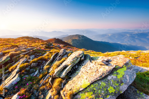 A gorgeous summer day in the highlands with green meadows. Carpathian mountains, Ukraine, Europe.