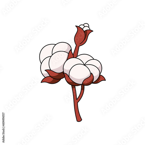 cotton flower vector isolated on white background