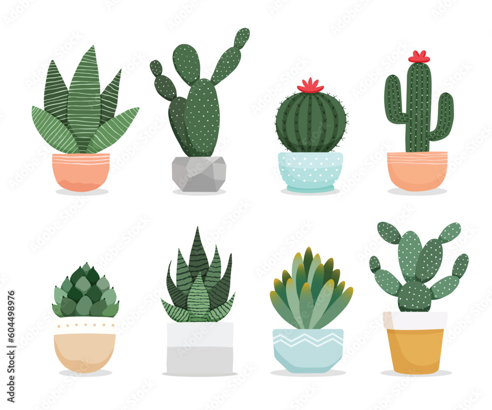 Set of cactus succulents plants in pots. Cacti houseplants indoor plants vector illustration. Set of cactus succulents plants in pots. Cacti houseplants indoor plants vector illustration.