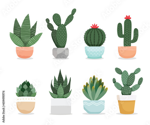 Set of cactus succulents plants in pots. Cacti houseplants indoor plants vector illustration.